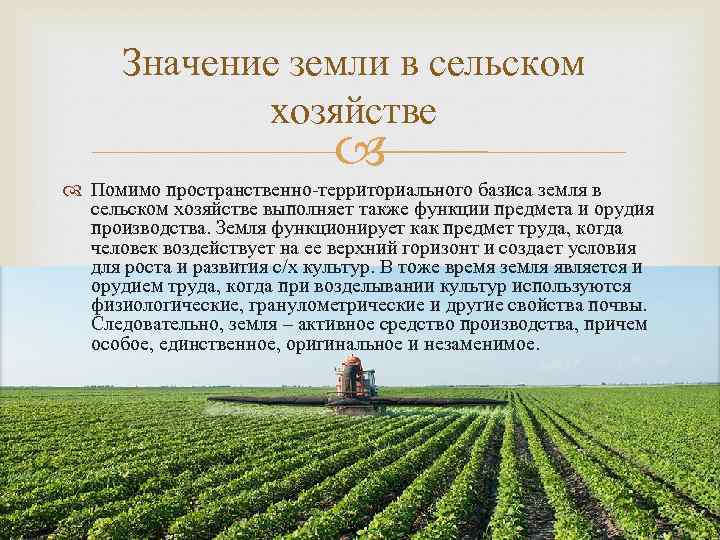 Значение земли в сельском хозяйстве Помимо пространственно-территориального базиса земля в сельском хозяйстве выполняет также