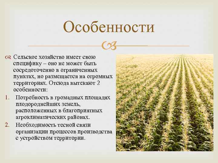 Особенности Сельское хозяйство имеет свою специфику – оно не может быть сосредоточенно в ограниченных