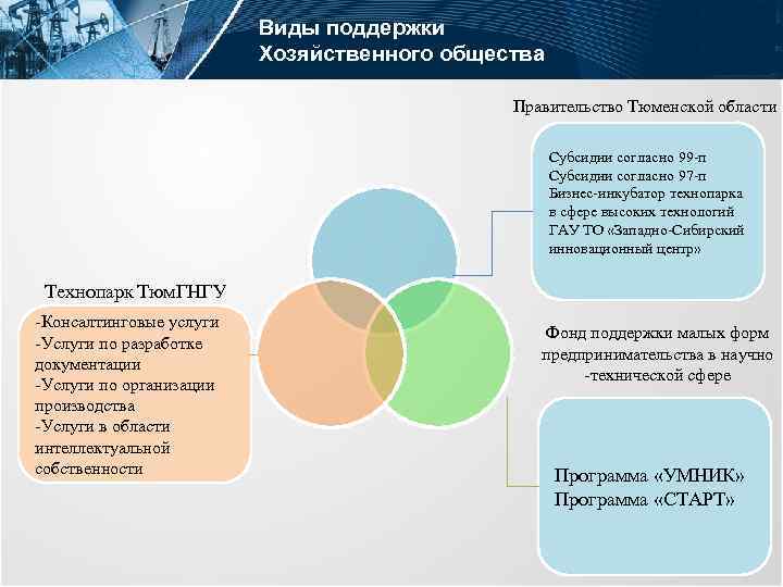 Виды поддержки Хозяйственного общества Правительство Тюменской области Субсидии согласно 99 -п Субсидии согласно 97