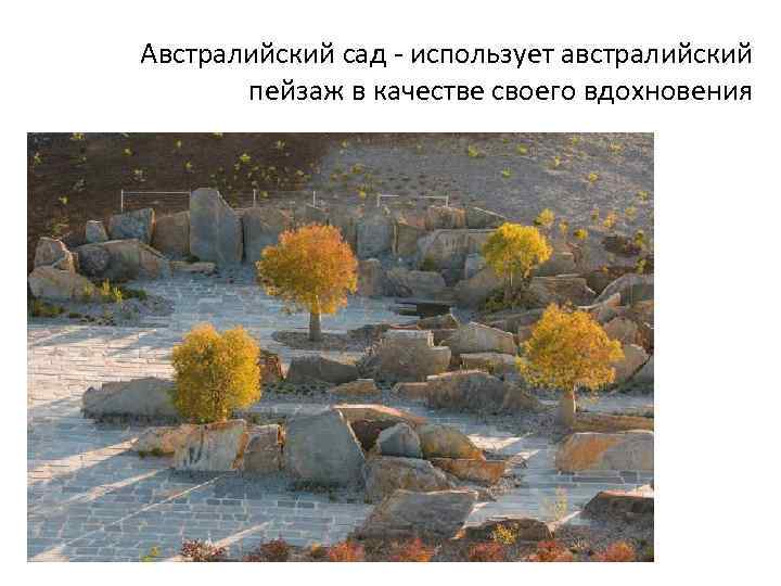 Австралийский сад - использует австралийский пейзаж в качестве своего вдохновения 