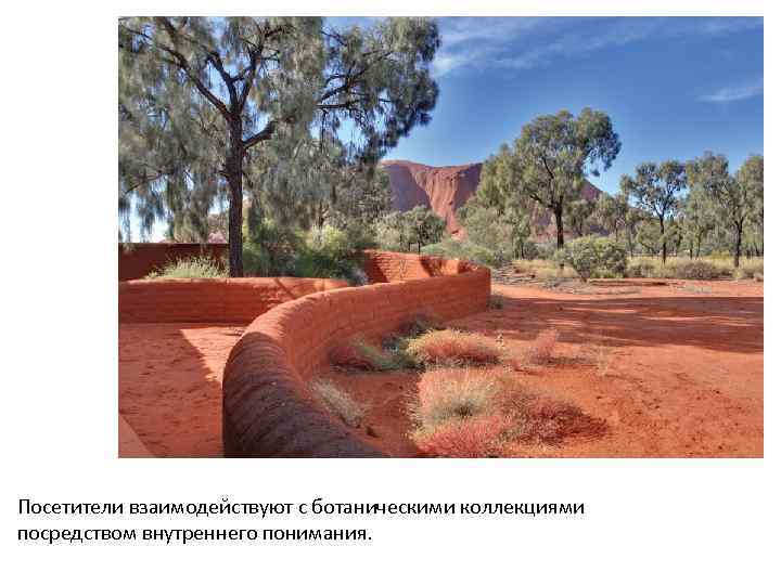 Посетители взаимодействуют с ботаническими коллекциями посредством внутреннего понимания. 