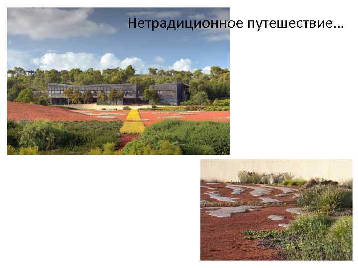 Нетрадиционное путешествие… 