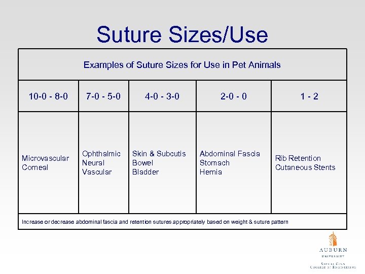 Suture Sizes/Use Examples of Suture Sizes for Use in Pet Animals 10 -0 -