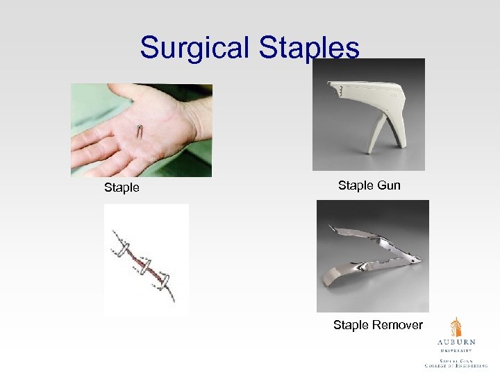 Surgical Staples Staple Gun Staple Remover 