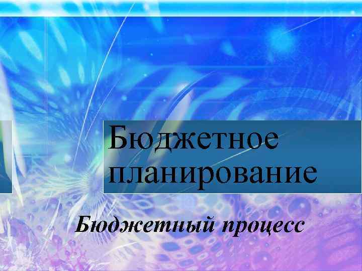Бюджетное планирование Бюджетный процесс 