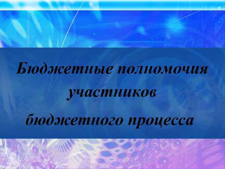 Бюджетные полномочия участников бюджетного процесса 
