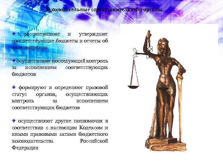 Законодательные (представительные) органы рассматривают и утверждают соответствующие бюджеты и отчеты об их исполнении осуществляют