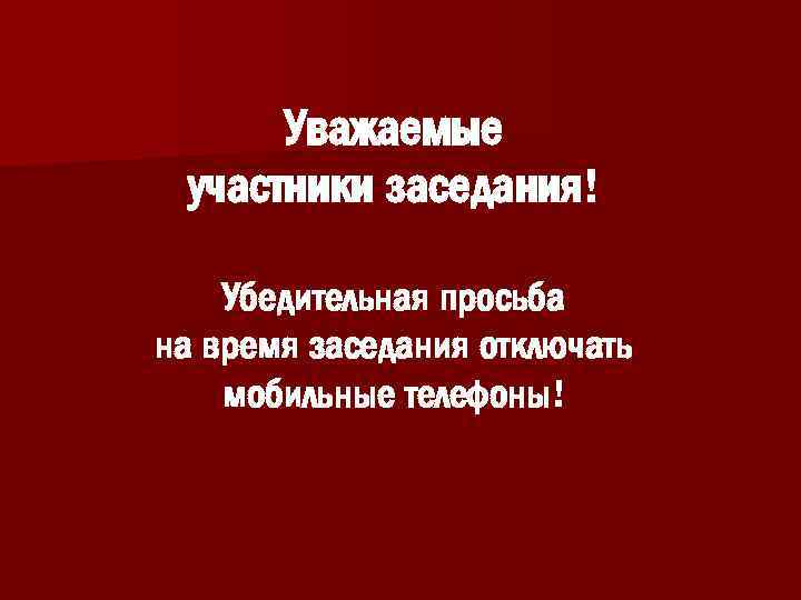 Уважаемые участники заседания! Убедительная просьба на время заседания отключать мобильные телефоны! 
