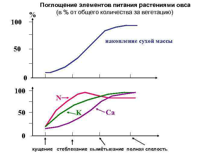 % 100 Поглощение элементов питания растениями овса (в % от общего количества за вегетацию)