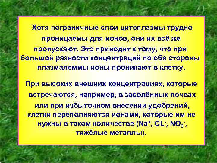 [1] Хотя пограничные слои цитоплазмы трудно проницаемы для ионов, они их всё же пропускают.