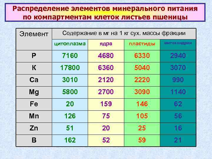 Распределение элементов минерального питания по компартментам клеток листьев пшеницы Элемент Содержание в мг на