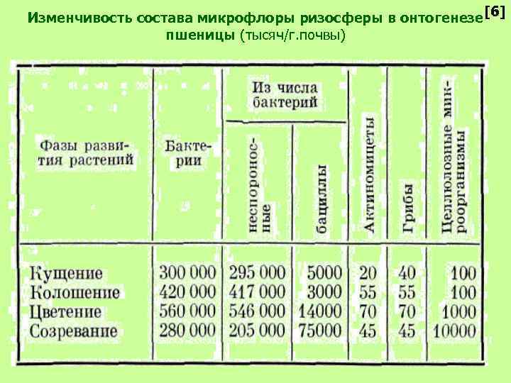 Изменчивость состава микрофлоры ризосферы в онтогенезе [6] пшеницы (тысяч/г. почвы) 