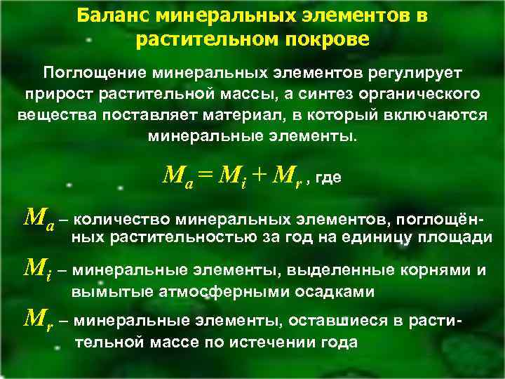 Баланс минеральных элементов в растительном покрове [1] Поглощение минеральных элементов регулирует прирост растительной массы,