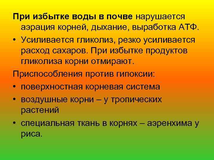 При избытке воды в почве нарушается аэрация корней, дыхание, выработка АТФ. • Усиливается гликолиз,