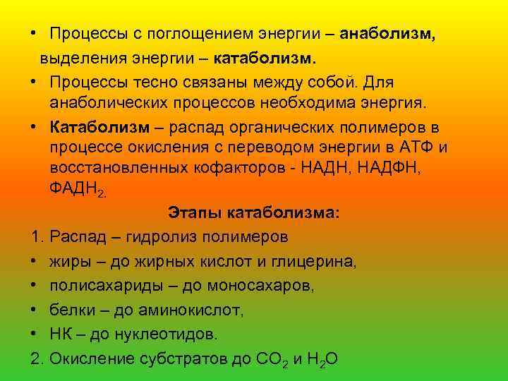  • Процессы с поглощением энергии – анаболизм, выделения энергии – катаболизм. • Процессы