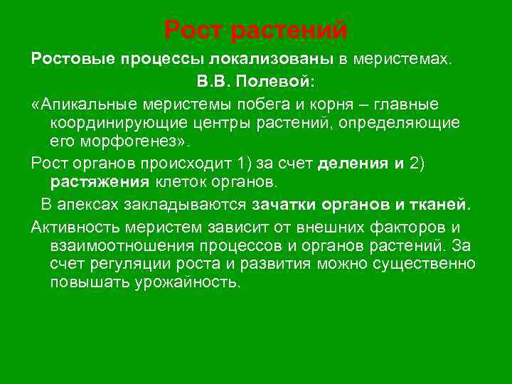 Рост растений Ростовые процессы локализованы в меристемах. В. В. Полевой: «Апикальные меристемы побега и