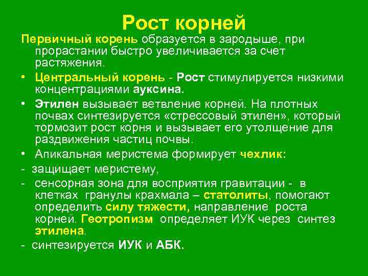 Рост корня в толщину. Рост и развитие корня. Рост корня в длину происходит за счет. Статолиты растений.