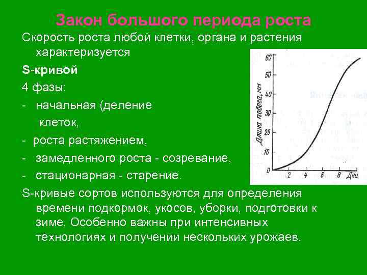 Изменение скорости роста. Закон большого периода роста закон Сакса. Кривая роста растений. Скорость роста растений. График роста.