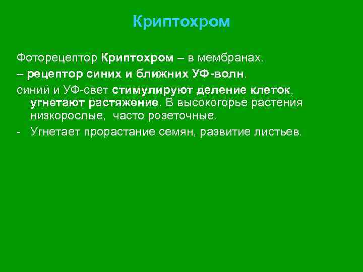 Криптохром Фоторецептор Криптохром – в мембранах. – рецептор синих и ближних УФ-волн. синий и
