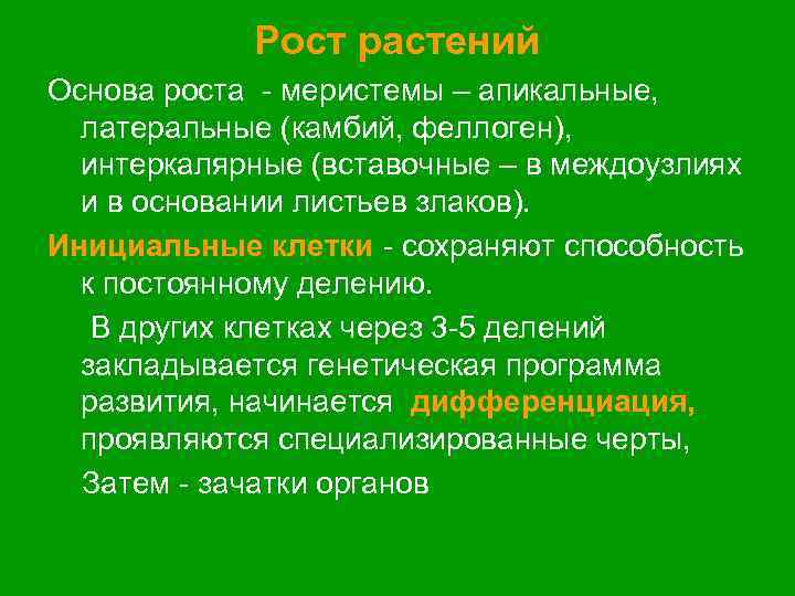 План что лежит в основе роста организмов