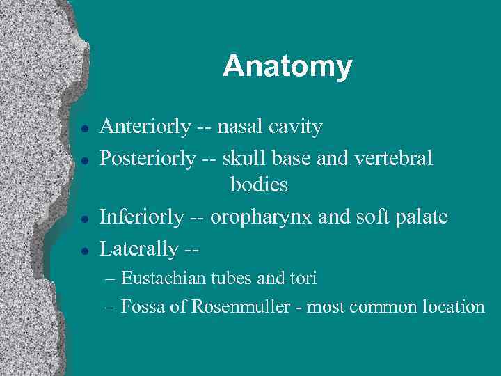 Anatomy l l Anteriorly -- nasal cavity Posteriorly -- skull base and vertebral bodies