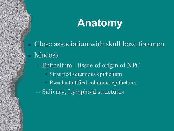 Anatomy l l Close association with skull base foramen Mucosa – Epithelium - tissue