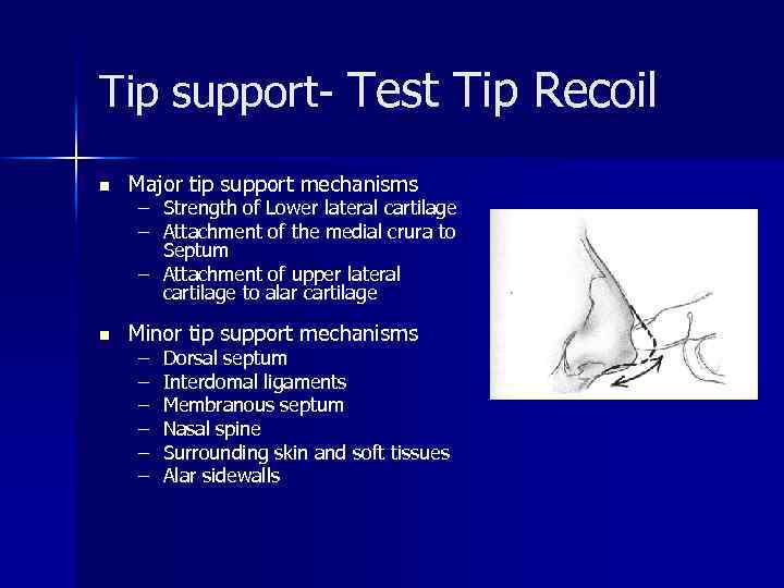 Tip support- Test Tip Recoil n Major tip support mechanisms n Minor tip support