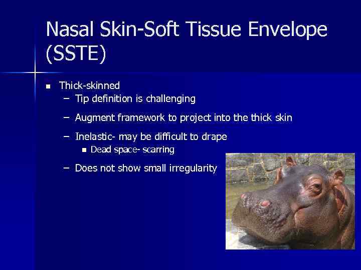Nasal Skin-Soft Tissue Envelope (SSTE) n Thick-skinned – Tip definition is challenging – Augment
