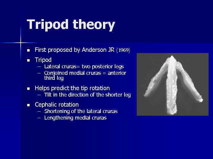 Tripod theory n First proposed by Anderson JR n Tripod (1969) – Lateral cruras=