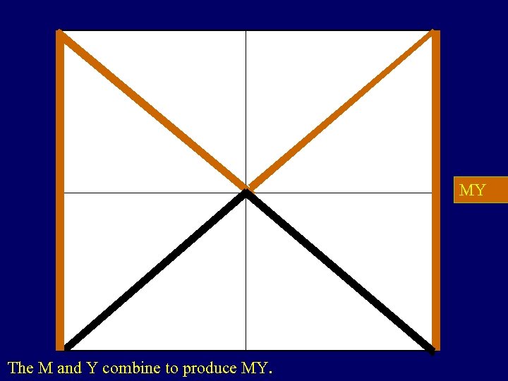 MY The M and Y combine to produce MY. 