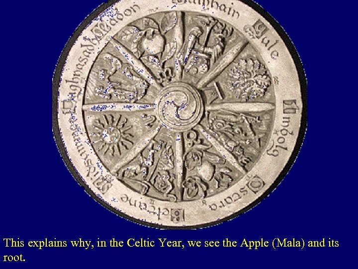 This explains why, in the Celtic Year, we see the Apple (Mala) and its
