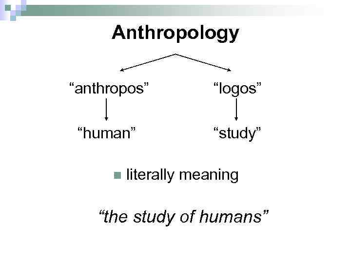 Anthropology “anthropos” “logos” “human” “study” n literally meaning “the study of humans” 