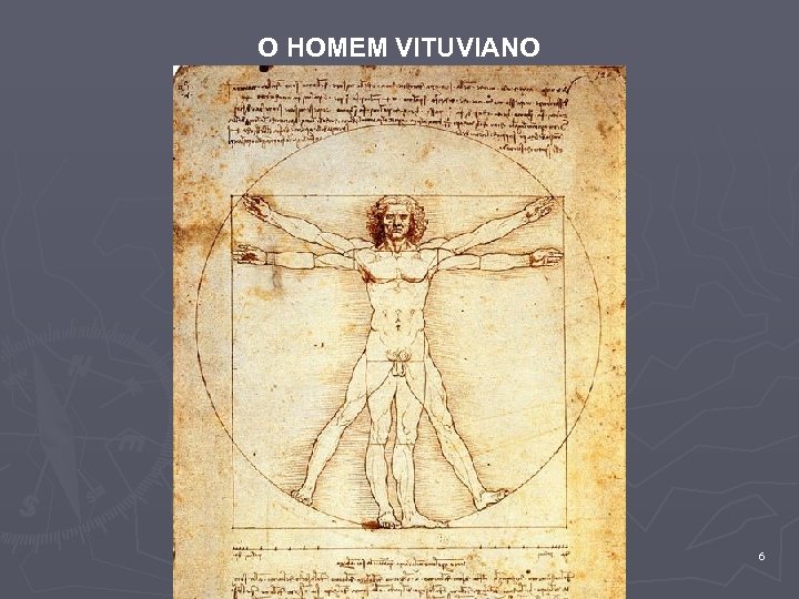 O HOMEM VITUVIANO 6 