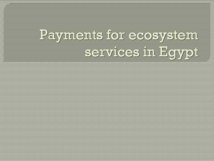 Payments for ecosystem services in Egypt 