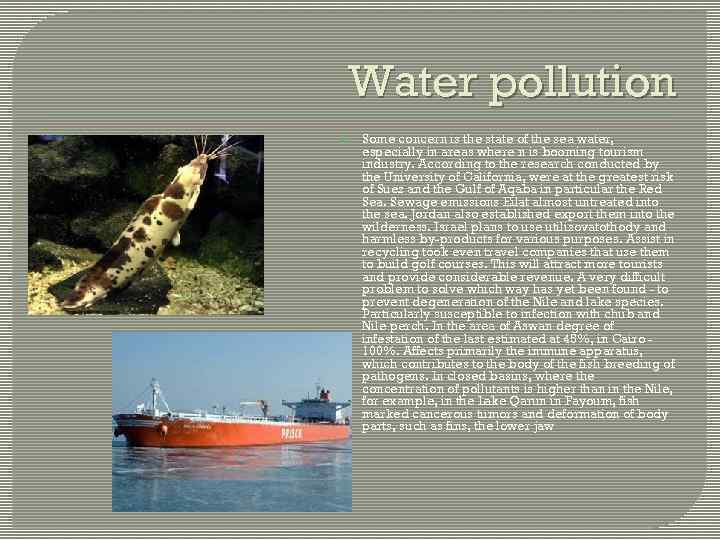 Water pollution Some concern is the state of the sea water, especially in areas