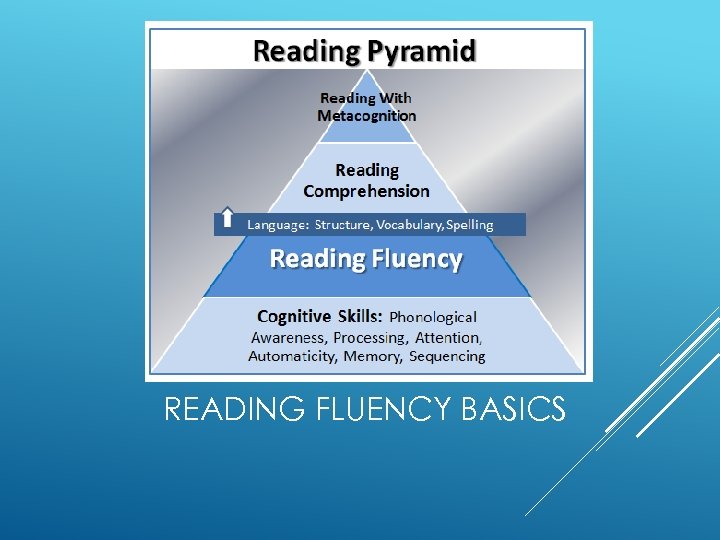 READING FLUENCY BASICS 