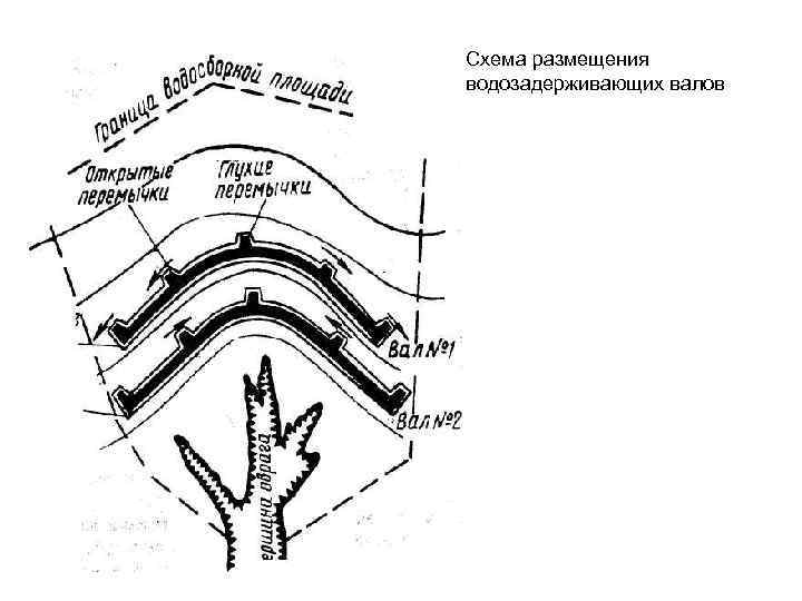 Схема размещения водозадерживающих валов 