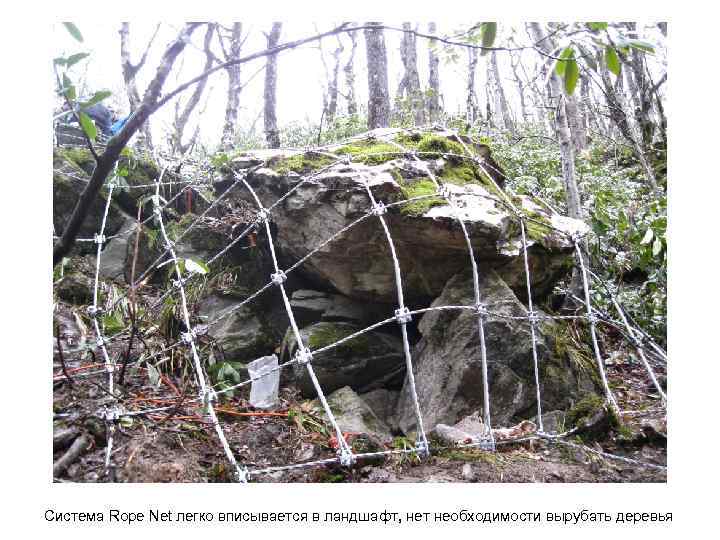Система Rope Net легко вписывается в ландшафт, нет необходимости вырубать деревья 