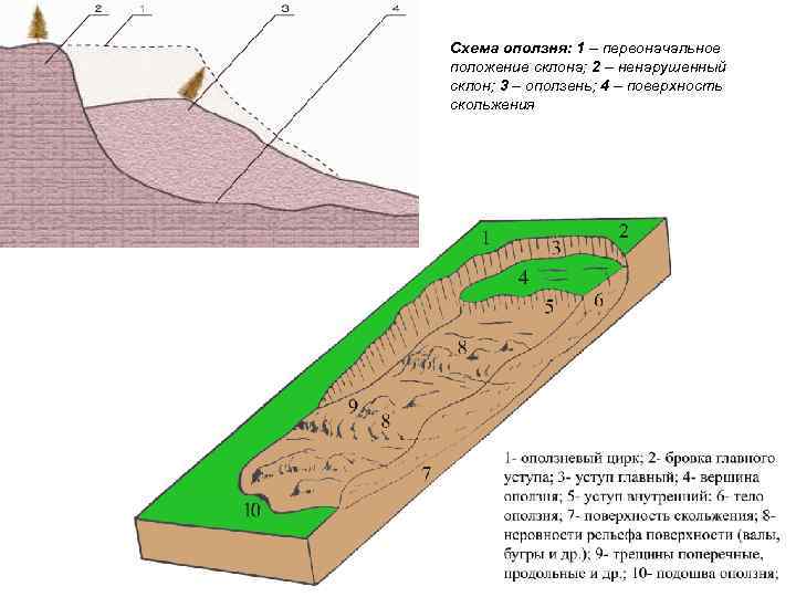 Схема оползня: 1 – первоначальное положение склона; 2 – ненарушенный склон; 3 – оползень;