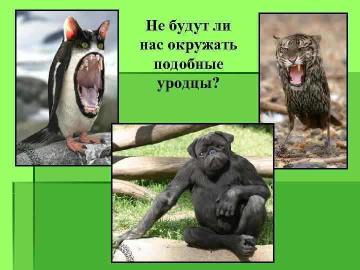 Не будут ли нас окружать подобные уродцы? 