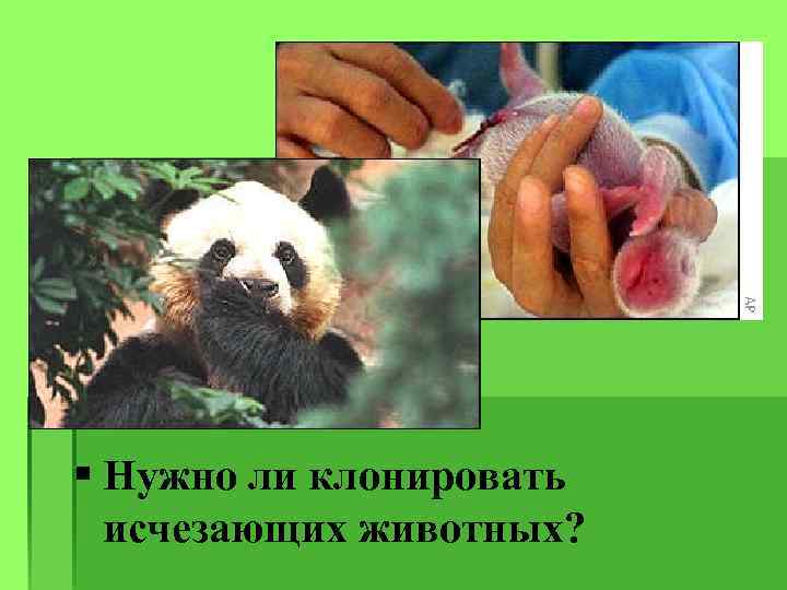 § Нужно ли клонировать исчезающих животных? 