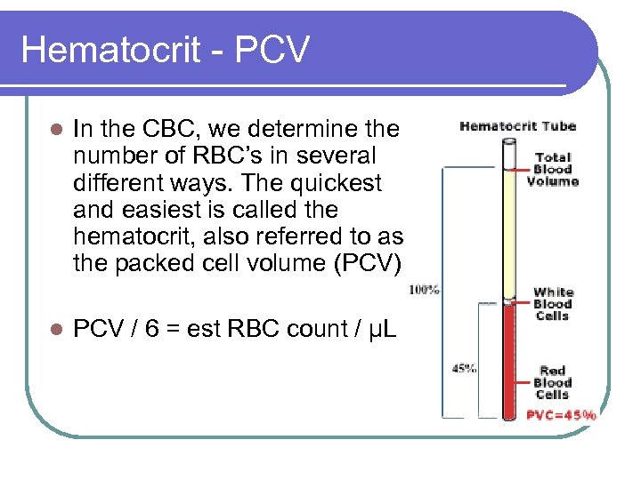 Hematocrit - PCV l In the CBC, we determine the number of RBC’s in