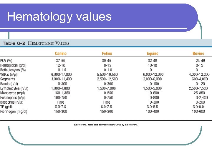 Hematology values 