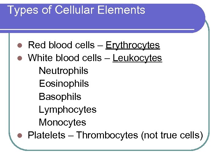 Types of Cellular Elements l Red blood cells – Erythrocytes l White blood cells