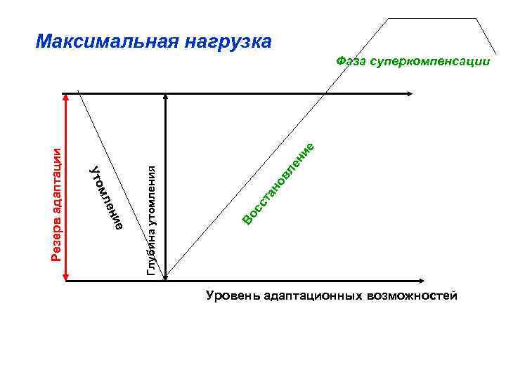 Максимальная нагрузка ни е ле но в та сс Во Глубина утомления е ени