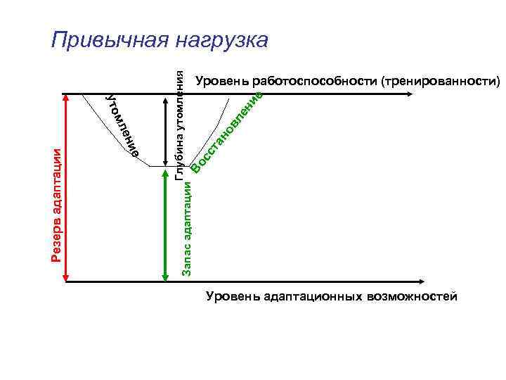 Глубина утомления Запас адаптации В Привычная нагрузка ен и но вл та ос с
