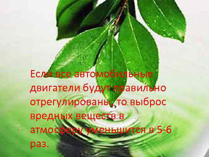 Если все автомобильные двигатели будут правильно отрегулированы, то выброс вредных веществ в атмосферу уменьшится