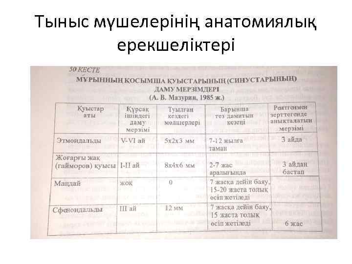 Тыныс мүшелерінің анатомиялық ерекшеліктері 