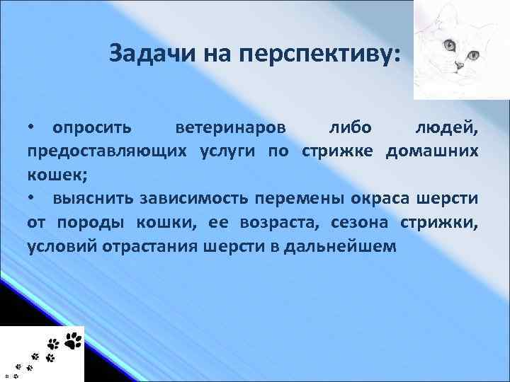 Задачи на перспективу: • опросить ветеринаров либо людей, предоставляющих услуги по стрижке домашних кошек;
