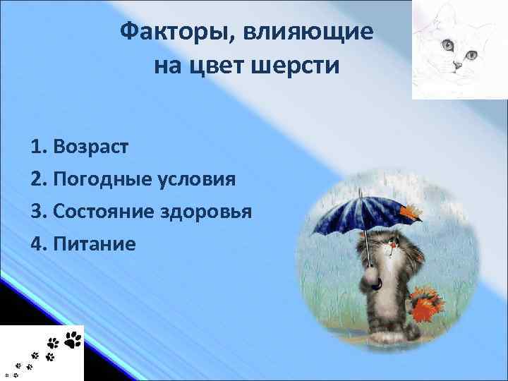 Факторы, влияющие на цвет шерсти 1. Возраст 2. Погодные условия 3. Состояние здоровья 4.